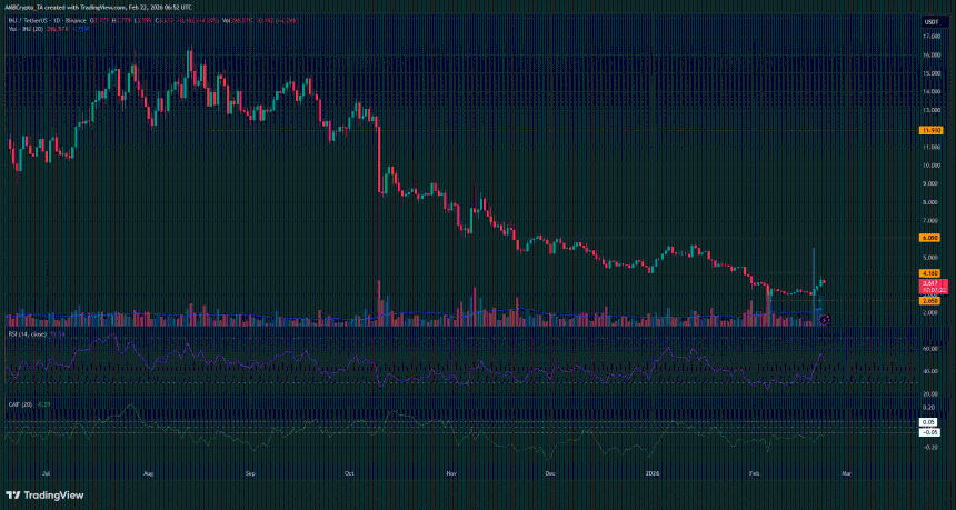 Injective 1-day Chart
