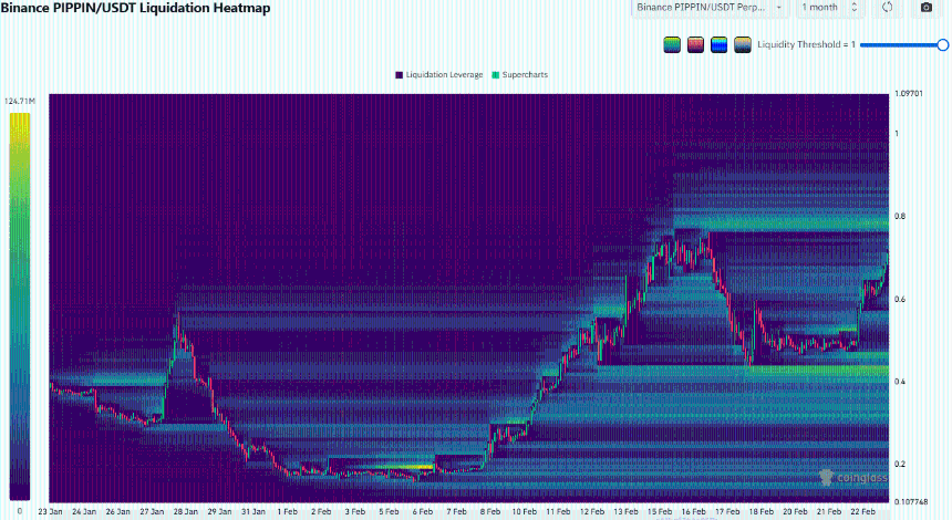 Pippin Liquidation Heatmap