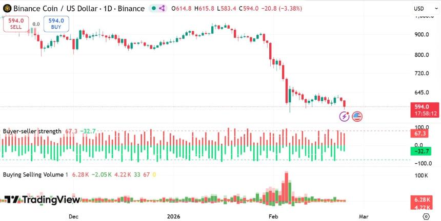 币安买卖力量对比
