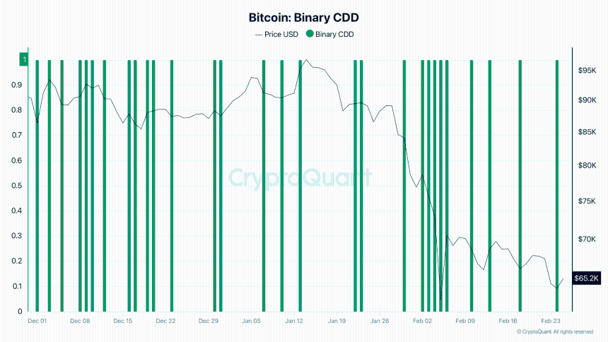 Bitcoin Binary CDD 