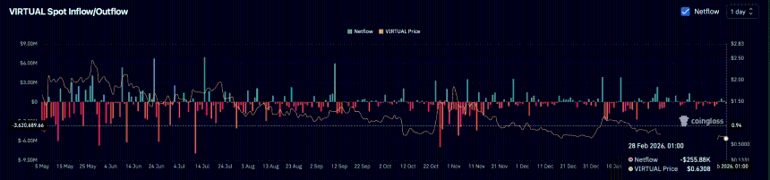 Virtual spot exchange netflow.