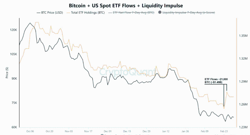 解读比特币资本轮动：50亿美元散户资金退出，巨鲸掌控市场