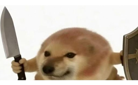 3月最火Meme币：“我的刀盾”席卷市场