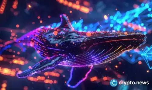 XRP巨鲸加速积累，尽管持有者面临500亿美元亏损