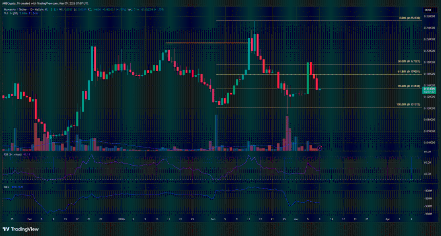 Humanity Protocol 1-day Chart