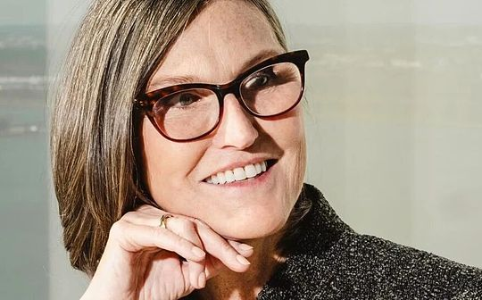 从590亿美元到140亿：女版巴菲特的陨落之路