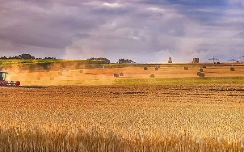 美伊冲突如何通过能源与化肥市场冲击全球粮食安全?