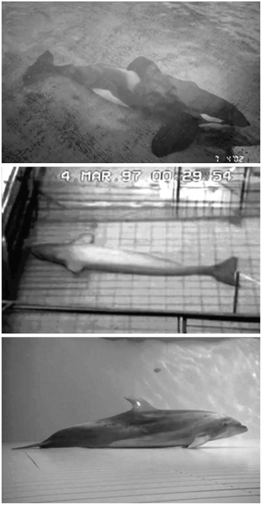 AI 为什么也需要睡觉？