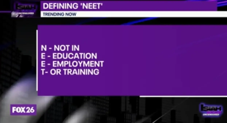 工作将死，NEET新生：一枚meme币的文化起义