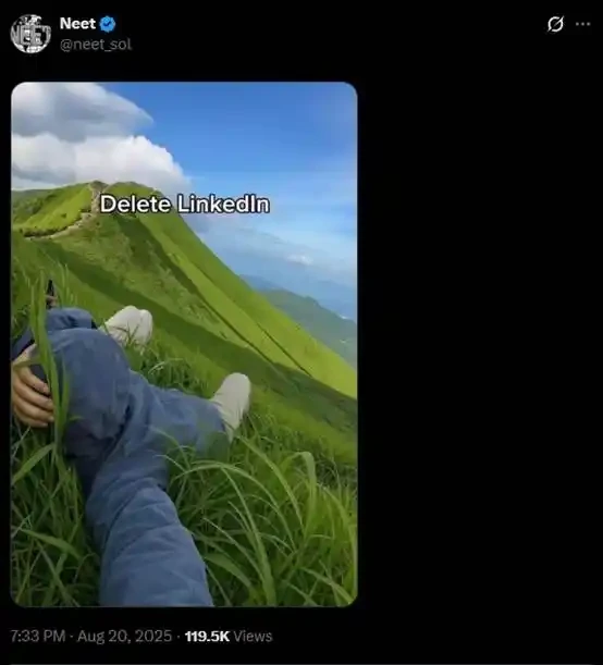 工作将死，NEET新生：一枚meme币的文化起义