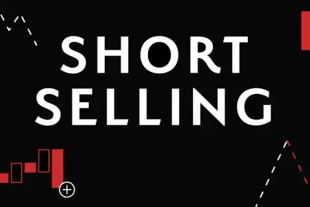 机制的奇点,牛市的起点:卖空权才是激发下一轮山寨牛市的关键