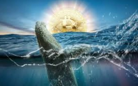 巨鲸增持与供应短缺能否推动比特币突破关键阻力？