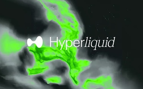 Bitwise首席投资官：Hyperliquid及其代币HYPE的价值潜力仍被市场低估