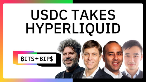 Circle首席经济学家访谈:USDC入局Hyperliquid,稳定币成美债边际买家