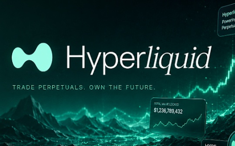 当HYPE遇上华尔街:解析HYPE价格飙升背后的驱动因素