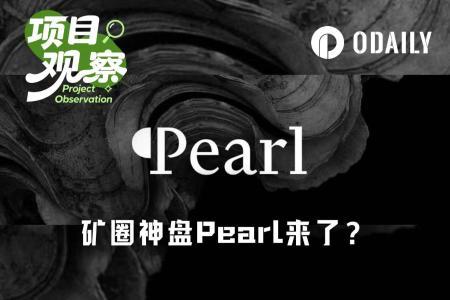 Pearl矿币热潮:a16z疑似加持,AI计算与挖矿并轨能否打破死亡螺旋?