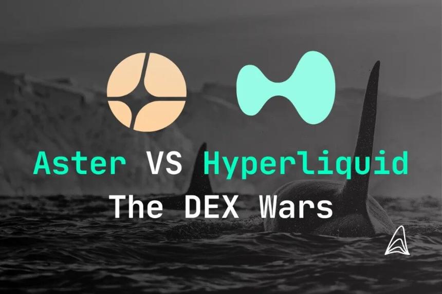 爆肝 10000 字穿透 Hyperliquid ,11 人团队、零 VC,如何主导链上永续市场?