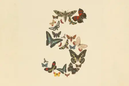 Claude Fable 5最该做的事:给代码仓库来一次全面审计