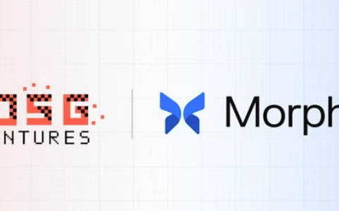 单体协议的脆弱性暴露之后 我们选择加注 Morpho