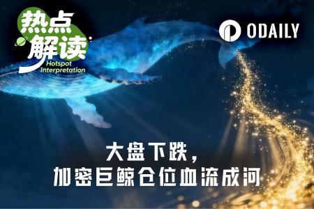 加密市场重挫，巨鲸多单浮亏超亿美元：谁在为暴跌买单？
