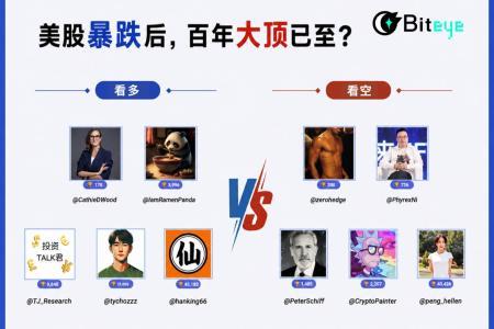 美股科技股剧烈震荡:AI泡沫破裂还是估值重定价?