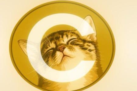 $CATE闪崩65%：FOMO平台宕机疑云与Meme币收割争议