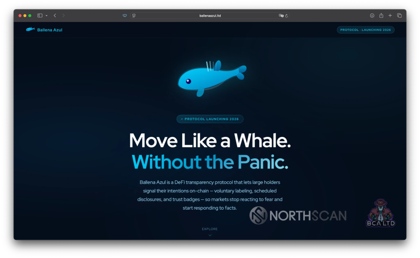 Ballena Azul LTD / Blue Whale LTD Website