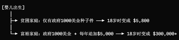 美国大撒币 特朗普账户与SpaceX的全民持股实验