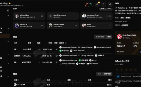 RedotPay冲击50亿美元估值 增长却已停摆